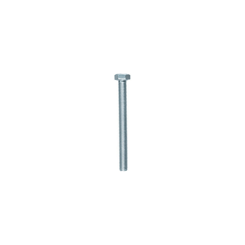 SCHROEF MET ZESKANTKOP H CL8.8 WIT ZINK M5-0.80 X 50 mm DIN 933