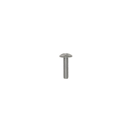 CROSS SLOTTED TRUSS HEAD MACHINE SCREW M5-0.80 X 20 mm NFE 25-129