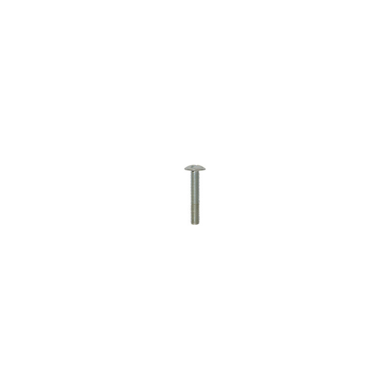 CROSS SLOTTED TRUSS HEAD MACHINE SCREW M5-0.80 X 30 mm NFE 25-129