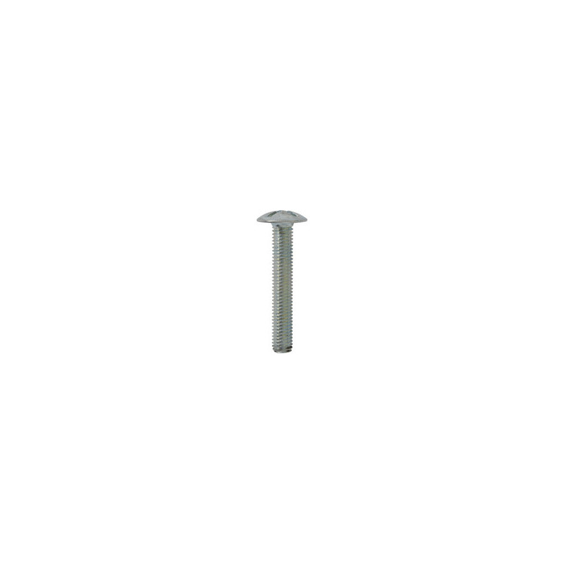 CROSS SLOTTED TRUSS HEAD MACHINE SCREW M8-1.25 X 50 mm NFE 25-129