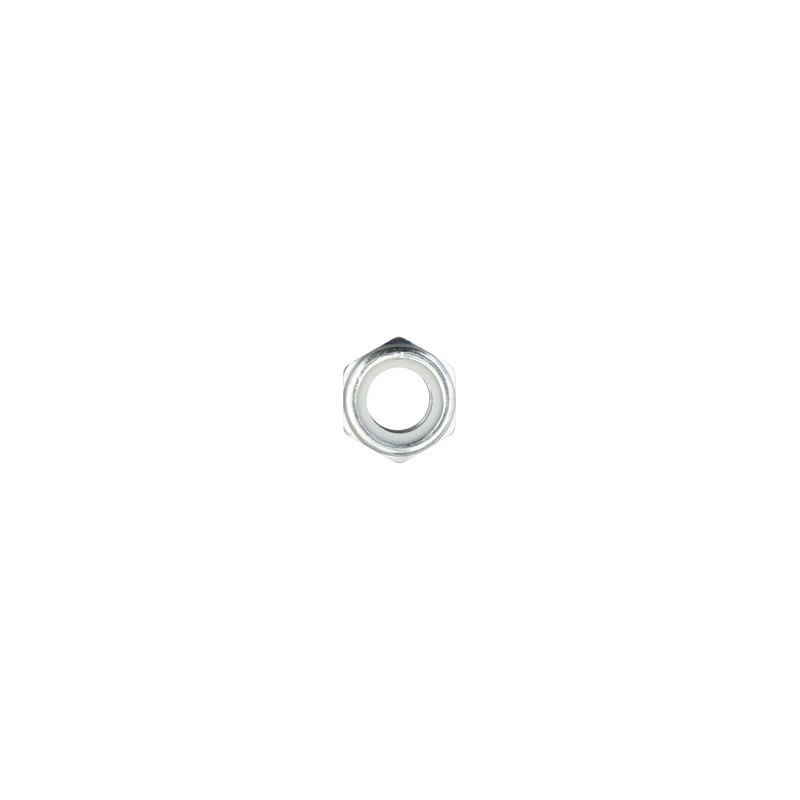 ZELFTAPPENDE ZESKANTMOER MET NYLON RING CL10 M20-2.50 DIN 982