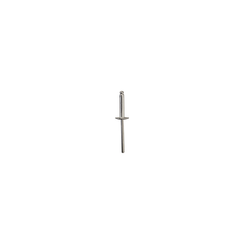 INOX NAGEL MET BREDE KOP  Ø 4 X 20 mm