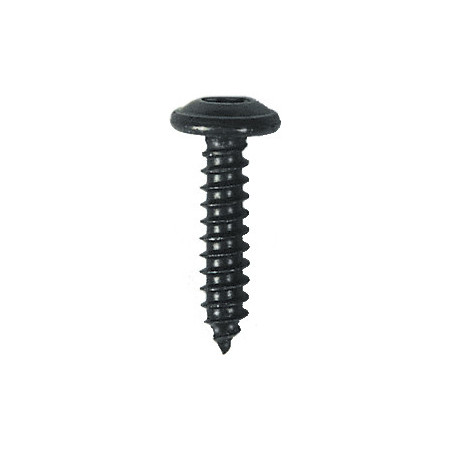 BLACK ZINC PLATED TRUSS HEAD SELF TAPPING SCREW Ø 4,2 X 19 mm NFE 25-655