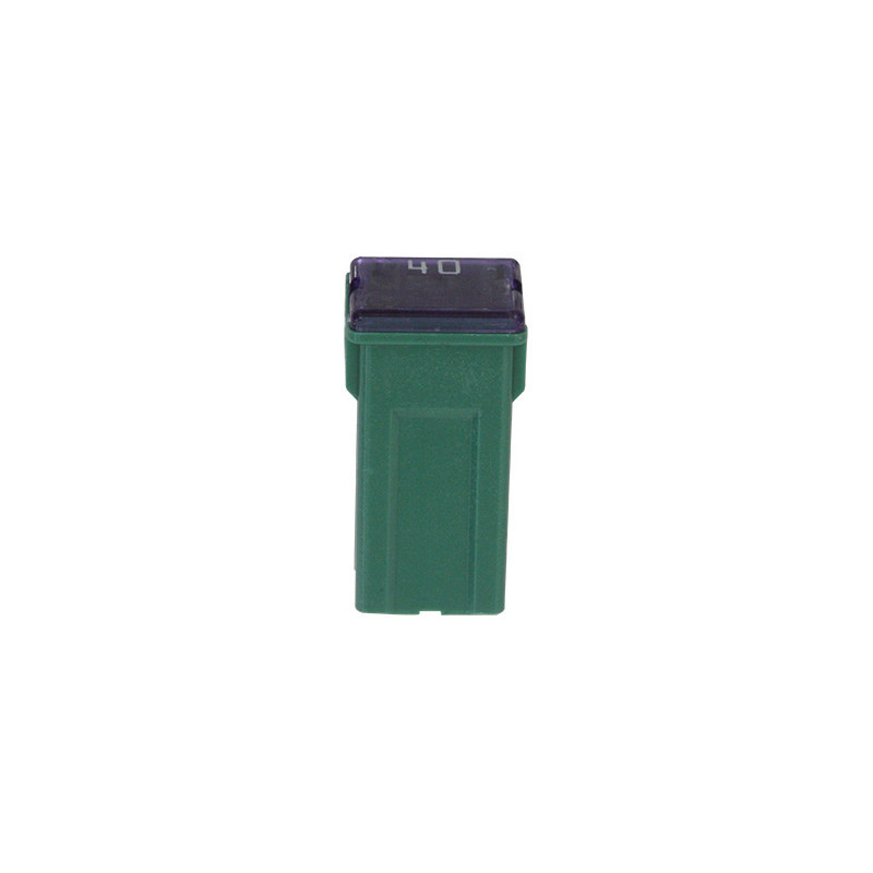 J-CASE TYPE FEMALE JAPANESE FUSE 40A