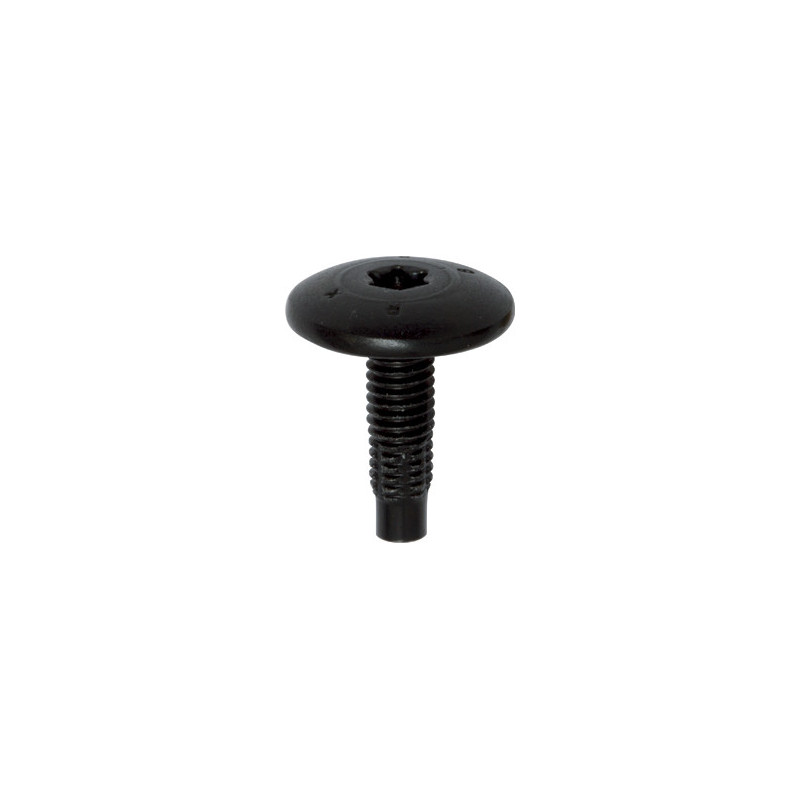 SCHROEF MET BREDE GEWELFDE CILINDRISCHE ZESKANTKOP ZWART ZINK  M6-1.00 X 20 mm CARROSSERIE
