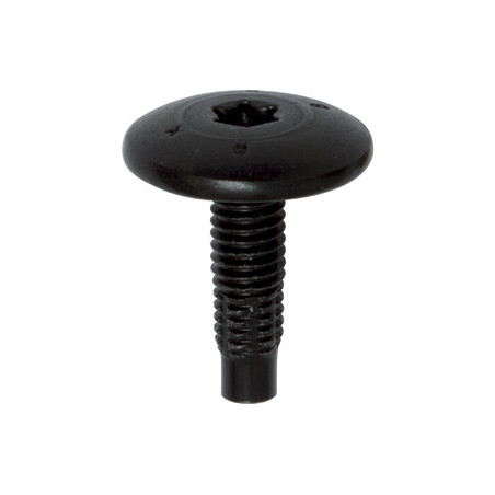SCHROEF MET BREDE GEWELFDE CILINDRISCHE ZESKANTKOP ZWART ZINK  M6-1.00 X 20 mm CARROSSERIE