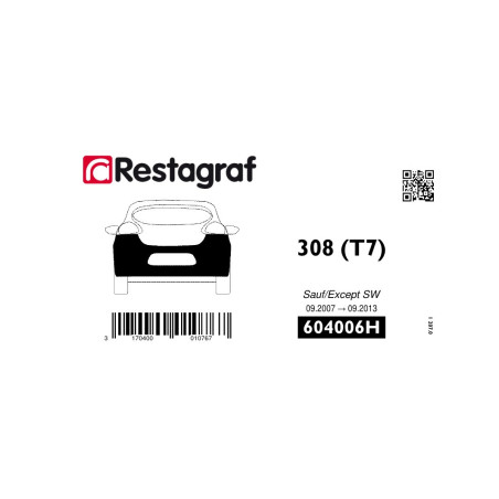 Befestigungssatz für die hintere stoßstange 308 (T7) Berline 09.2007 → 09.2013