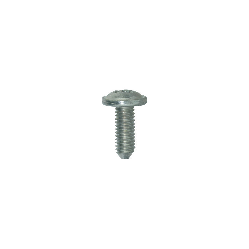 LANGE BREDE SCHROEF MET POZIDRIV-KOP WIT ZINK M6-1.00 X 16 mm