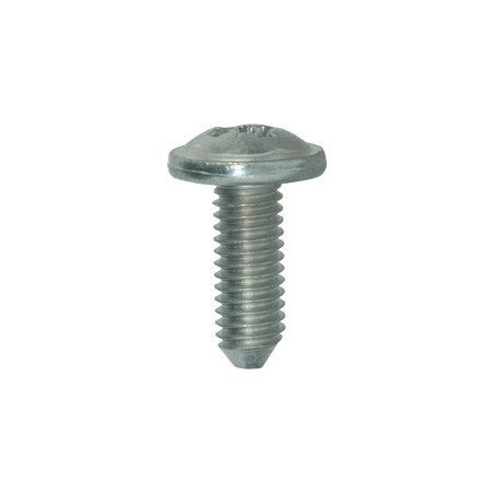 LANGE BREDE SCHROEF MET POZIDRIV-KOP WIT ZINK M6-1.00 X 16 mm