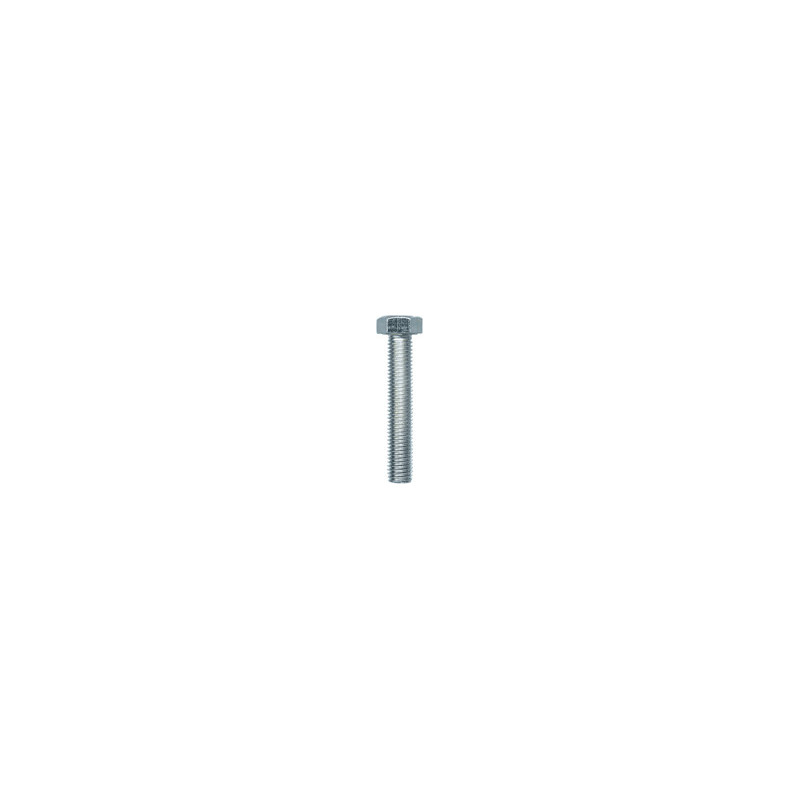 VIS À MÉTAUX TÊTE H CL8.8 ZN BLANC M7-1.00 X 40 mm DIN 933