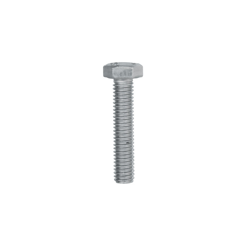 METAALSCHROEF MET ZESKANTKOP INOX A4 M6-1.00 X 30 mm DIN 933