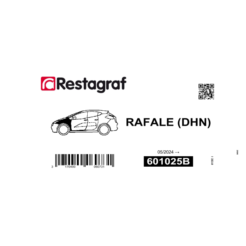 Fasteners kit for front fender Rafale (DHN) 05/2024 →