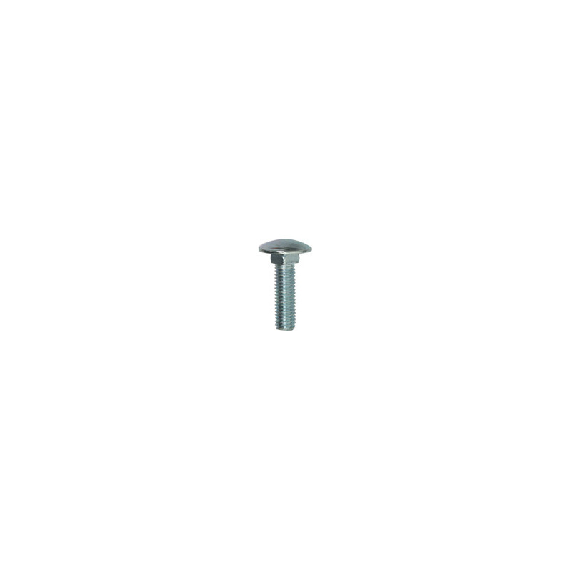 METAALSCHROEF MET RONDE KOP EN VIERKANTE AANZET M8-1.25 X 30 mm DIN 603