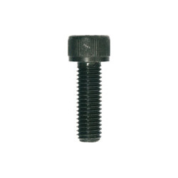 CILINDERKOPSCHROEF MET BINNENZESKANT MET LAGE KOP CL8.8 ZWART ZINK M10-1.50 X 30 mm DIN 912