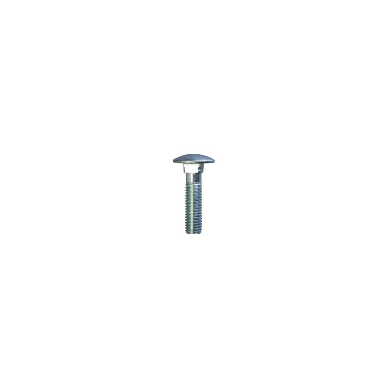 ROUND HEAD SQUARE BOLT M10-1.50 X 40 mm DIN 603 ROUND HEAD SQUARE BOLT M10-1.50 X 40 mm DIN 603