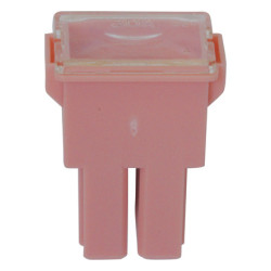 AS TYPE FEMALE JAPANESE FUSE 30A