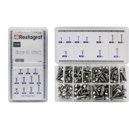 MINIKOFFER METAALSCHROEVEN MET ZESKANTKOP INOX A4 M5-0.80 → M8-1.25 DIN 933