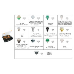 COFFRET D'ASSORTIMENT D'AGRAFES DE PANNEAUX DE GARNITURE DE PORTE TYPE RENAULT