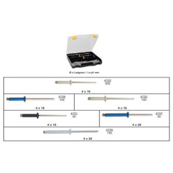 COFFRET D'ASSORTIMENT DE RIVETS ÉPANOUIS PEINTS Ø 4 X 16 → Ø 4 X 26 mm