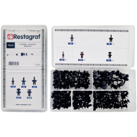 ASSORTMENT BOX OF PLASTIC RIVETS