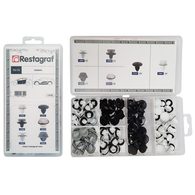 MINI-COFFRET D'ASSORTIMENT D'AGRAFES DE PANNEAUX ET MOULURES TYPE NISSAN