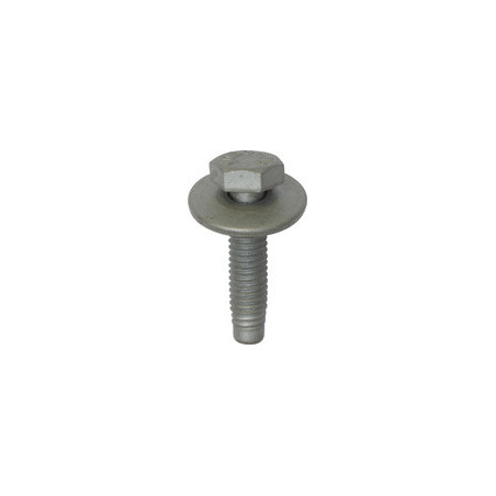 HEXAGON BOLT WITH WASHER M6-1.00 X 25 mm