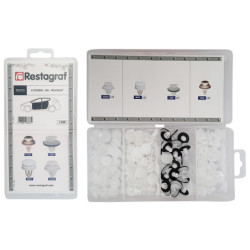 MINI-COFFRET D'ASSORTIMENT D'AGRAFES DE PANNEAUX TYPE CITROËN PEUGEOT