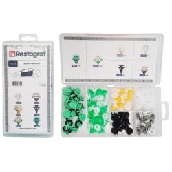 MINI-COFFRET D'ASSORTIMENT D'AGRAFES DE PANNEAUX TYPE DACIA RENAULT