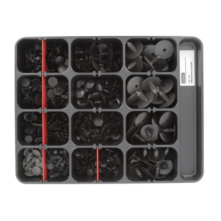 SORTIMENTSKASTEN MIT VERKLEIDUNGSCLIPS FÜR CITROËN-PEUGEOT-RENAULT