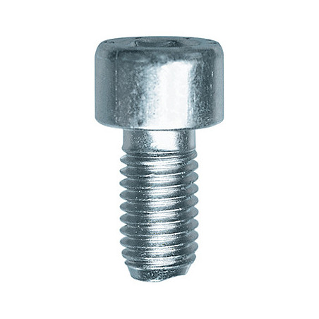 CILINDERKOPSCHROEF MET BINNENZESKANT MET LAGE KOP CL8.8 WIT ZINK M10-1.50 X 20 mm DIN 912