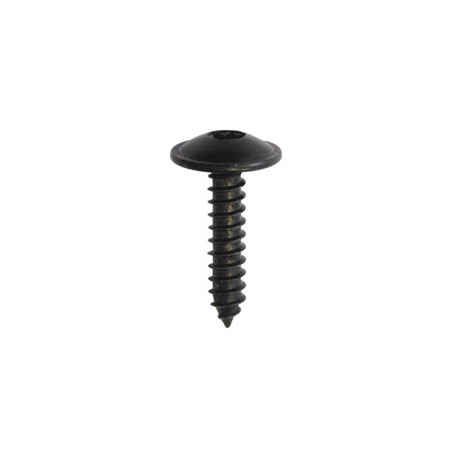 BLACK ZINC PLATED TRUSS HEAD SELF TAPPING SCREW Ø 4,2 X 19 mm INTERIOR AND EXTERIOR TRIM