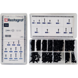 MINI-COFFRET D'ASSORTIMENT DE VIS À TÔLE RLX ZN NOIR Ø 3,5→ 4,8 mm NFE 25-655