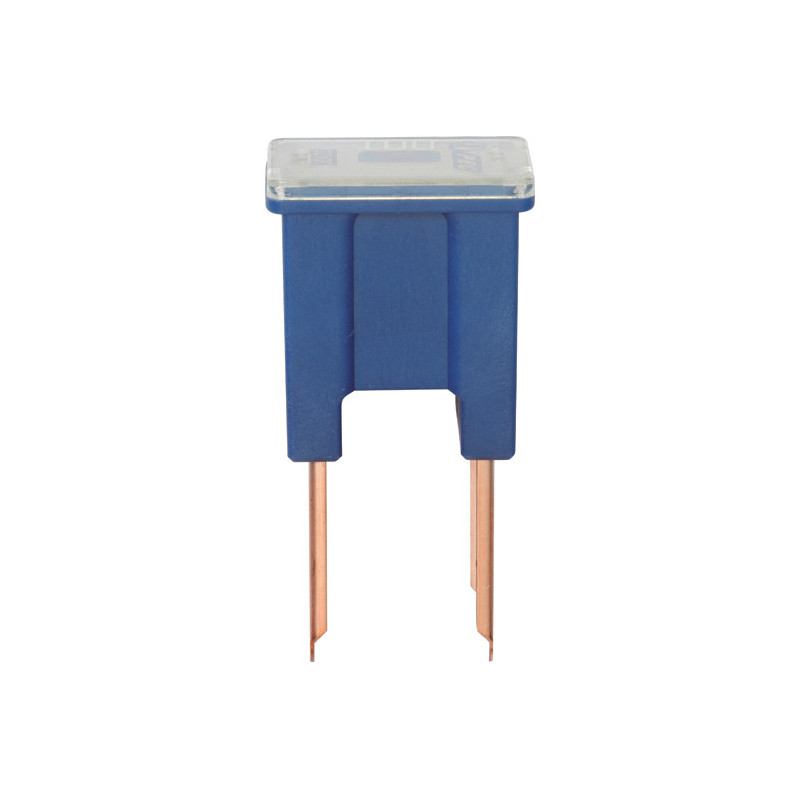 JAPANSE ZEKERING MANNELIJK TYPE B  100A